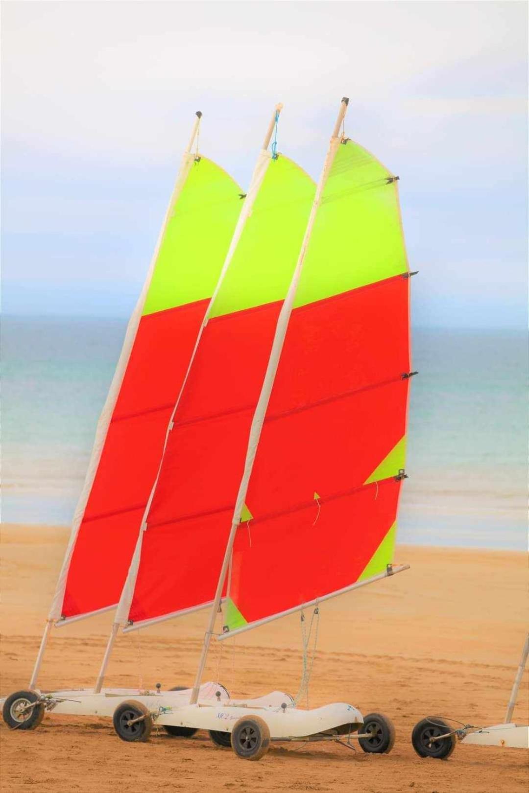 "O'Dbark" - Duplex 2 Etoiles - A 100M De La Plage Avec Jardin Courseulles-sur-Mer Eksteriør billede